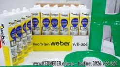 Keo Silicone Weber WS-300